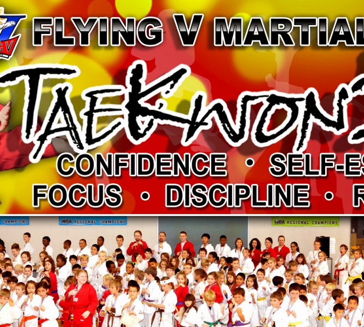 flying-v-martial-arts-photo
